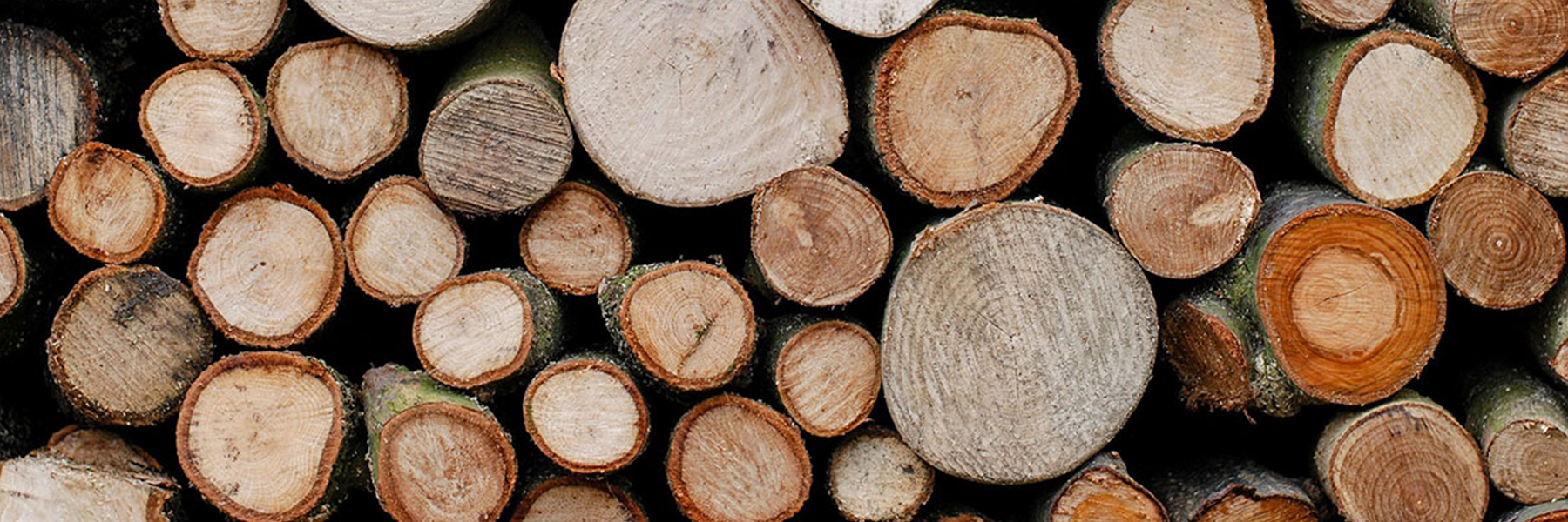 Da oltre un secolo relizziamo porte ed infissi di altissima qualità.